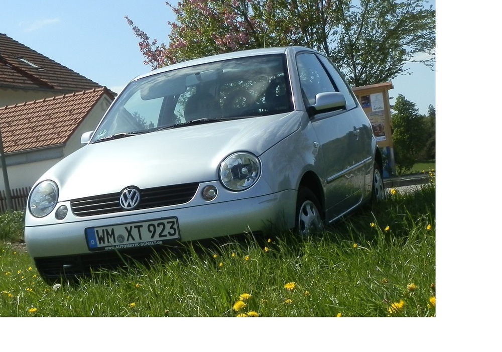 Lupo Front page